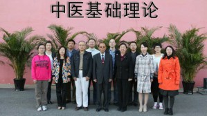 中医基础理论视频教程 郑洪新 60讲 辽宁中医药大学