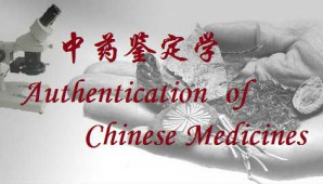 中药鉴定学视频教程 翟延君 82讲 辽宁中医药大学