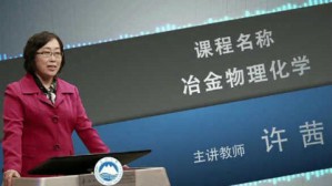 冶金物理化学视频教程 许茜 80讲 东北大学