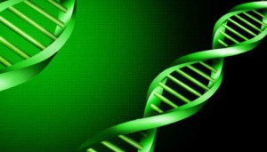 生物化学视频教程 关一夫 116讲 中国医科大学