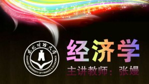 经济学视频教程 张嫚 93讲 东北财经大学