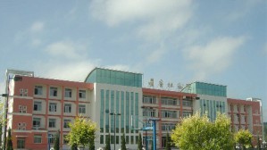林木种苗生产技术视频教程 邹学忠 120讲 辽宁林业职业技术学院