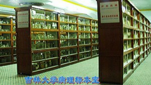 病理学视频教程 李玉林 68讲 吉林大学