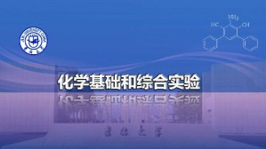 化学基础和综合实验视频教程 徐家宁 680讲 吉林大学
