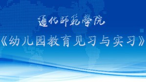 幼儿园教育见习与实习视频教程 李春琴 30讲 通化师范学院