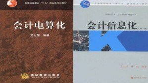 会计信息系统视频教程 艾文国 72讲 哈尔滨工业大学