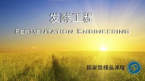 发酵工程视频教程 张嗣良 48讲 华东理工大学