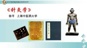 针灸学视频教程 徐平 70讲 上海中医药大学