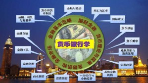 货币银行学视频教程 戴国强 34讲 上海财经大学
