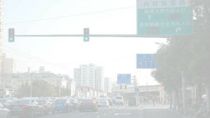 交通管理与控制 吴兵 32讲 同济大学