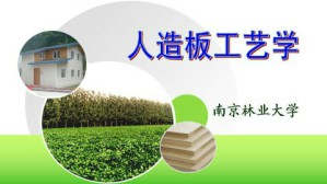 人造板工艺学视频教程 周晓燕 64讲 南京林业大学