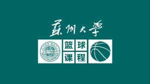 篮球视频教程 王家宏 234讲 苏州大学