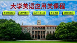 大学英语应用类课程视频教程 孙倚娜 190讲 苏州大学