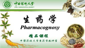 生药学视频教程 李萍 34讲 中国药科大学