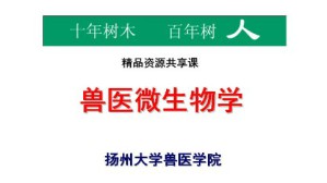 兽医微生物学视频教程 孙怀昌 56讲 扬州大学