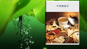 中药炮制学视频教程 蔡宝昌 90讲 南京中医药大学