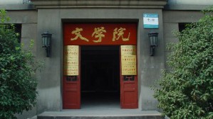 中国现当代文学史视频教程 谭桂林 64讲 南京师范大学