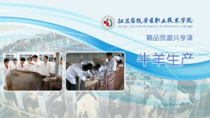 牛羊生产视频教程 张力 240讲 江苏农牧科技职业学院