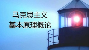 马克思主义基本原理概论视频教程 王岩 48讲 南京航空航天大学