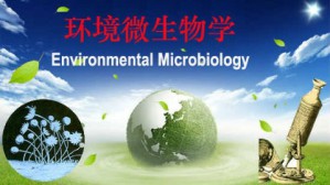 环境微生物学视频教程 郑平 64讲 浙江大学