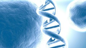 生命科学导论视频教程 吴敏 32讲 浙江大学