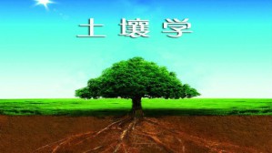 土壤学视频教程 徐秋芳 56讲 浙江农林大学