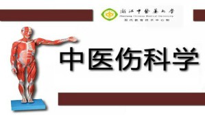 中医伤科学视频教程 童培建 60讲 浙江中医药大学