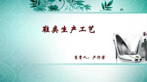 鞋类生产工艺视频教程 卢行芳 96讲 浙江工贸职业技术学院