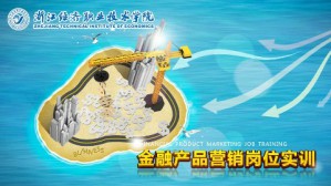金融产品营销岗位实训视频教程 周叶芹 484讲 浙江经济职业技术学院