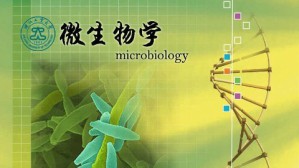 微生物学视频教程 裘娟萍 88讲 浙江工业大学