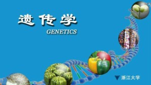 遗传学视频教程 石春海 80讲 浙江大学