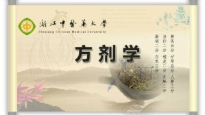 方剂学视频教程 连建伟 67讲 浙江中医药大学