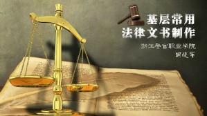 基层常用法律文书制作视频教程 胡晓军 48讲 浙江警官职业学院