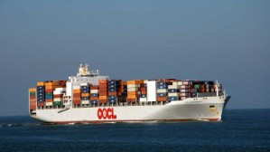 海上货物运输视频教程 王捷 72讲 浙江国际海运职业技术学院