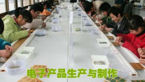 电子产品生产与制作视频教程 张玉明 102讲 芜湖职业技术学院