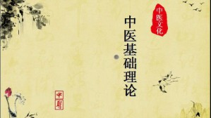 中医基础理论视频教程 王键 75讲 安徽中医药大学
