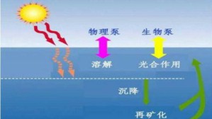化学海洋学视频教程 陈敏 126讲 厦门大学