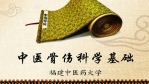 中医骨伤科学基础视频教程 王和鸣 72讲 福建中医药大学