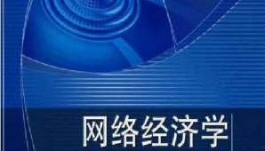 网络经济学视频教程 张丽芳 48讲 厦门大学