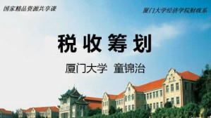 税收筹划视频教程 童锦治 56讲 厦门大学