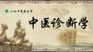 中医诊断学视频教程 丁成华 72讲 江西中医药大学