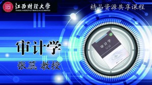 审计学视频教程 张蕊 50讲 江西财经大学
