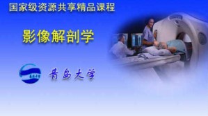 影像解剖学视频教程 刘丰春 90讲 青岛大学