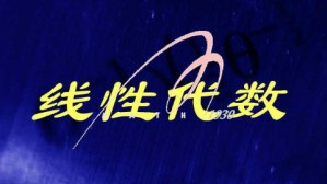 线性代数视频教程 刘建亚 24讲 山东大学