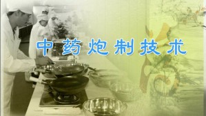 中药炮制技术视频教程 刘波 68讲 山东中医药高等专科学校
