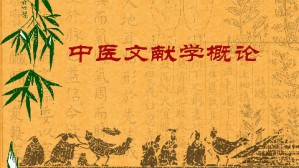 中医文献学概论视频教程 王振国 32讲 山东中医药大学