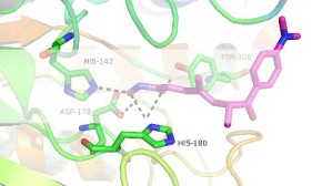 药物设计学视频教程 徐文方 36讲 山东大学