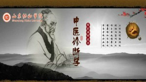 中医诊断学视频教程 盛振文 63讲 山东协和学院
