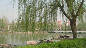 大学英语视频教程 钱建成 50讲 郑州大学