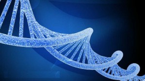 生物化学视频教程 王永芬 104讲 河南牧业经济学院